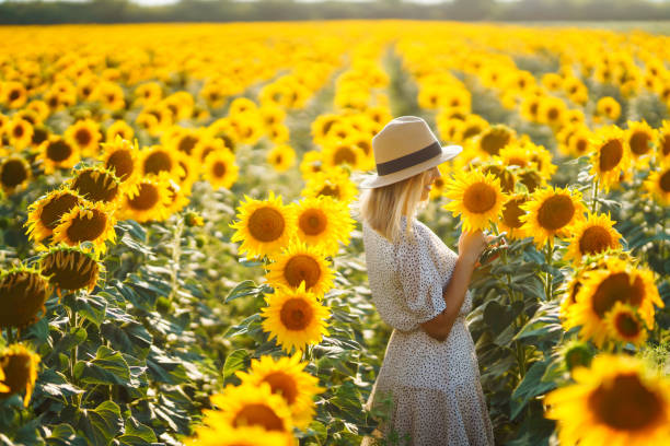 istock Beautiful woman strolling through field with sunflowers. 1495655133