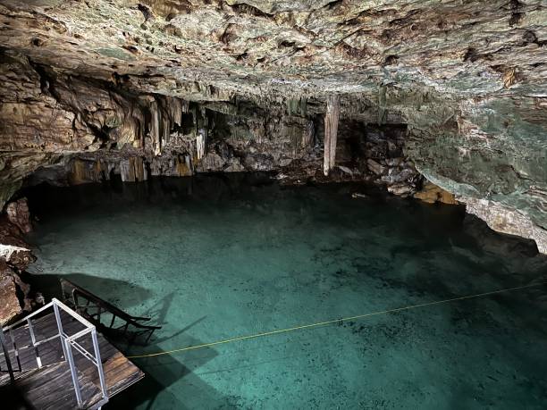 istock Covered cenote in Mexico Yucatan 1495659764