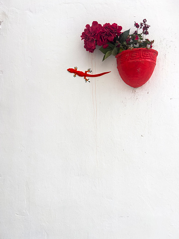 Cute little realistic red gecko climbing on white stone wall with a decorated flower pot with plants. Beautiful background with copy space.