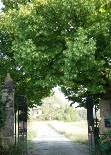 Entrance in Provence