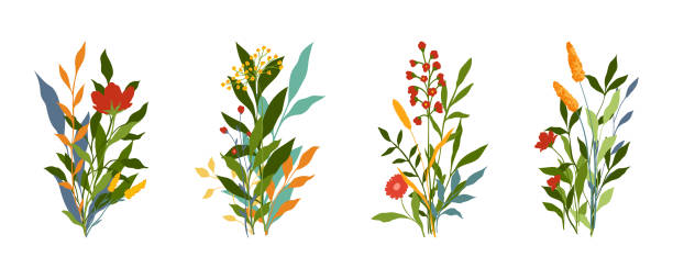 istock Creative minimalist Abstract art wild flowers, leaves, branch, bouquet. Hand Drawn doodle Scribble floral plants. Abstract leaf. wild flowers isolated on white 1495666592