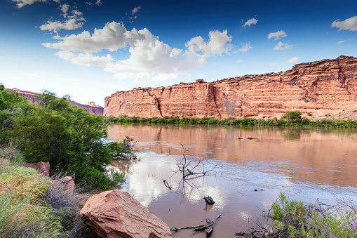 Water of the Colorado River in Utah during sunset reflects the red sandstone canyon walls, shoreline trees and vegetation, as well as the blue sky and clouds.