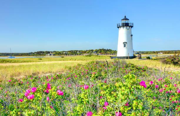 farol de edgartown em martha's vineyard - new england summer - fotografias e filmes do acervo
