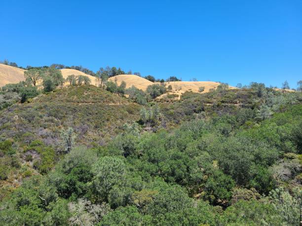 istock The Wall Point trail in Mt Diablo State Park, California 1495680080