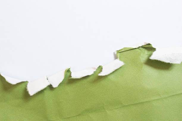 istock Green torn paper piece on white background 1495683186