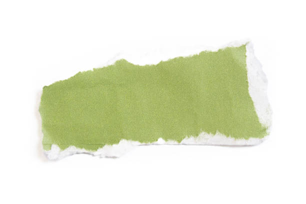 Cut or torn paper background textured isolated on white.