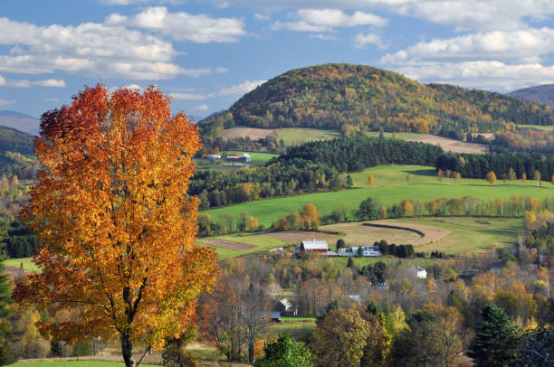 istock Scenic landscape in Peacham Vermont 1495683785