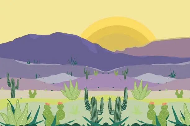 Vector illustration of When the sun set in the desert