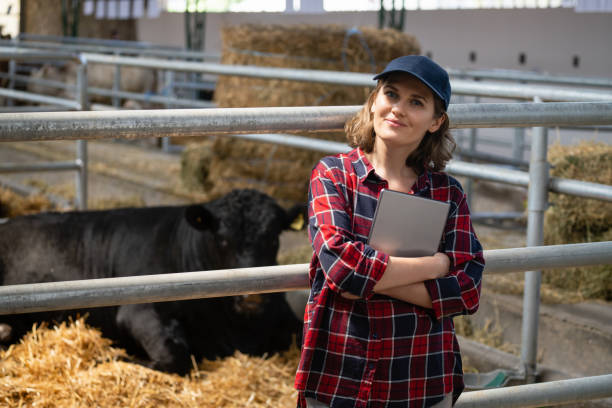 istock Woman farmer with tablet computer inspects cows at a dairy farm. 1495684707