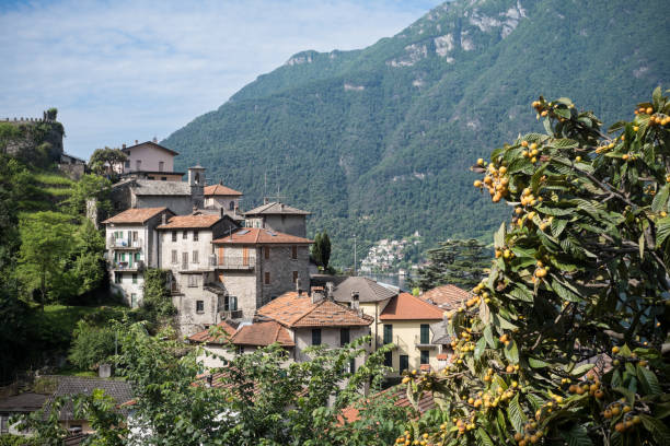 istock Nesso, Como Lake, Italy 1495687468