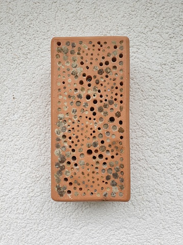 A close-up of a small insect hotel mounted on a white wall.