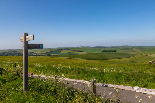 un sendero junto a tierras de cultivo en south downs, con un cielo azul en lo alto - sussex fotografías e imágenes de stock