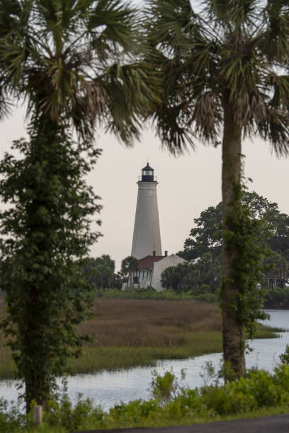 istock Lighthouse with caretaker's house, in marshy hammock, viewed from between two cabbage palms 1495693683