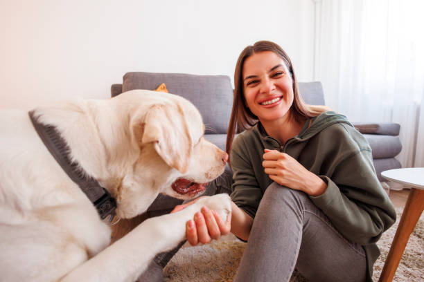 istock Woman teaching dog tricks 1495694531