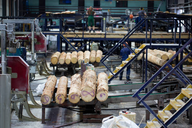 istock Industrial plant sawmill 1495699919