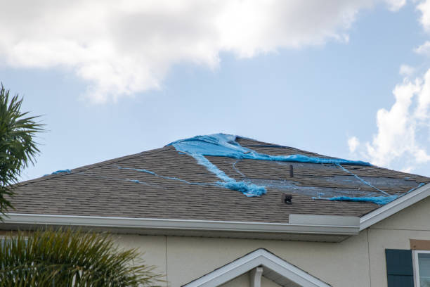 istock Destroyed Tarp on the roof 1495703573