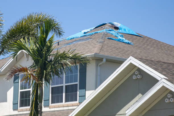 istock Destroyed Tarp on the roof 1495703585