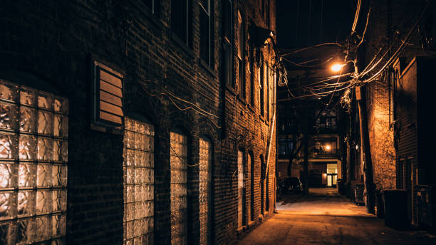 istock Dark alley - Bucktown, Chicago 1495704554