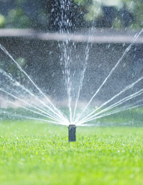 istock Irrigation system in home garden. Automatic lawn sprinkler watering green grass. Selective focus. 1495706678