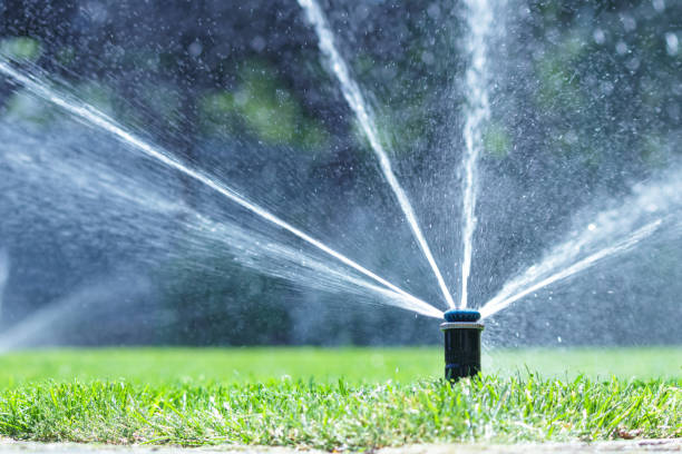 istock Irrigation system in home garden. Automatic lawn sprinkler watering green grass. Selective focus. 1495706709
