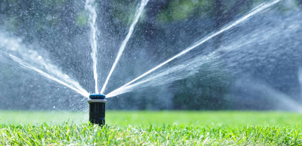 istock Irrigation system in home garden. Automatic lawn sprinkler watering green grass. Selective focus. 1495706726