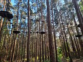 Treetop rope course