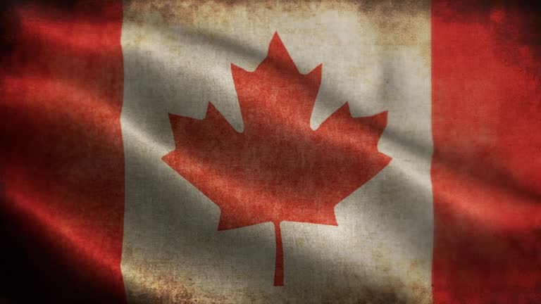 Closeup of grunge Canada waving flag loopable stock video