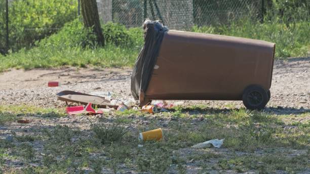 istock Tipped Over Plastic Garbage Container on Grass Field during Public Event Open Air Music Festival 1495720795