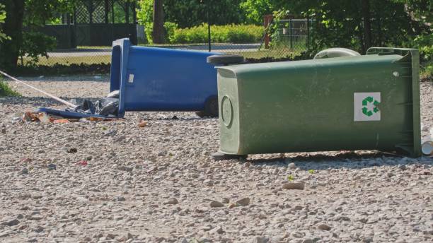 istock Tipped Over Plastic Garbage Container on Grass Field during Public Event Open Air Music Festival 1495720800