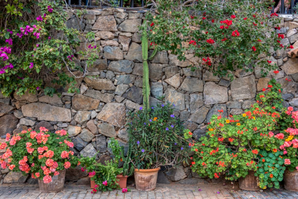 istock Stone wall decorated with flower pots 1495720857