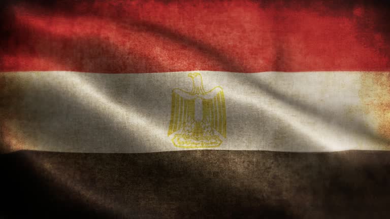 Closeup of grunge Egypt waving flag loopable stock video