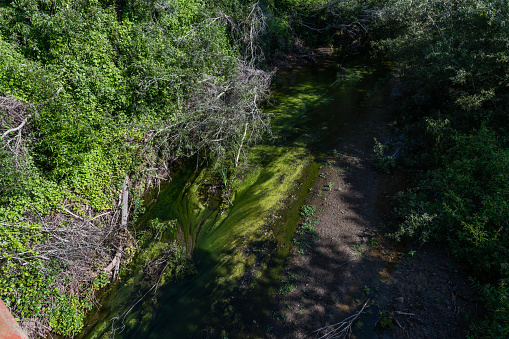 Scenic vista of a creek in coastal Goleta near Santa Barbara, Southern California
