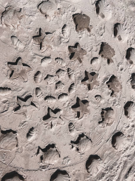 istock Star, fish, seashell forms in the sand made by kids' toys 1495738207