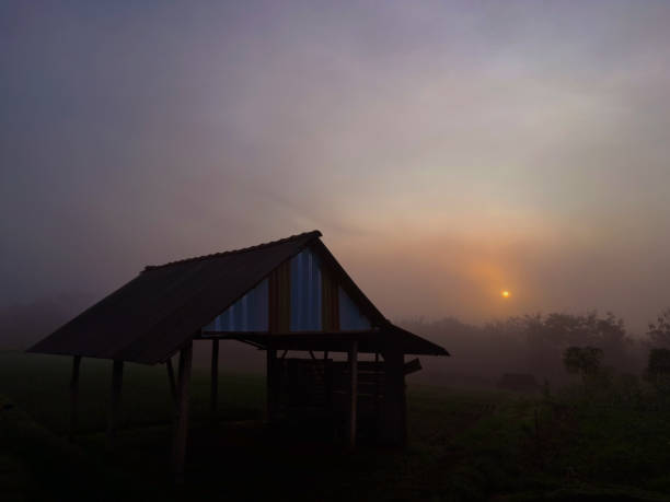 istock hut at the rice paddy field 1495740642