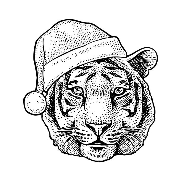 tigerkopf gekleidete weihnachtsmannmütze. vintage schwarze gravur - engraving pattern engraved image striped stock-grafiken, -clipart, -cartoons und -symbole