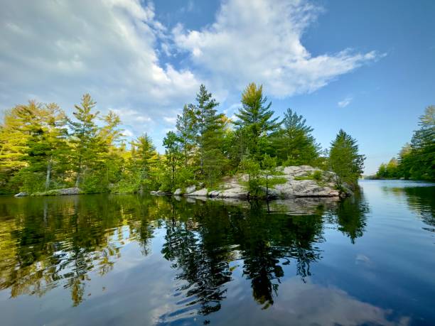 istock Summer Reflection in lake water 1495750463