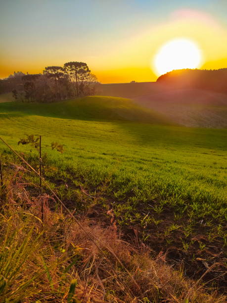 istock landscape of Santa Catarina 1495751369