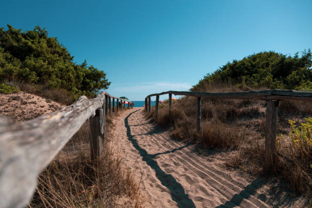 istock A day at the sea in a pristine reserve 1495753539