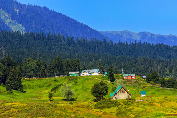 istock Gulmarg, Srinagar, Kashmir, India 1495754624
