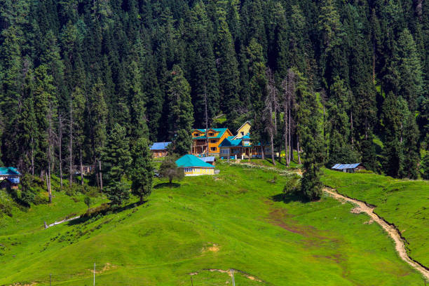 istock Gulmarg, Srinagar, Kashmir, India 1495754651