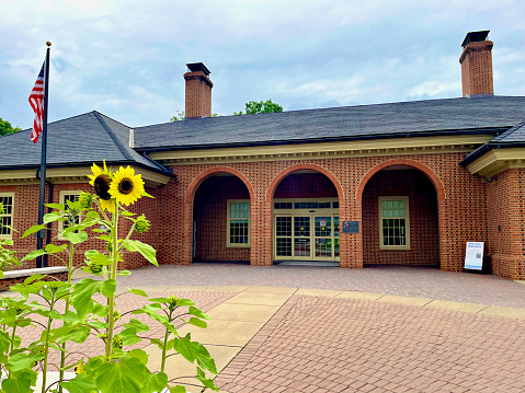 New Kent County, Virginia, USA - May 30, 2023: Sunflowers brighten up the space at the New Kent Safety rest area along Interstate 64 in Virginia.