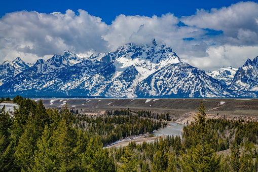 Trees and bushes in Willow Flats area with background of Grand Teton and Mount Moran mountain on sunny day.