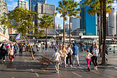 Circular Quay Sydney Crowd