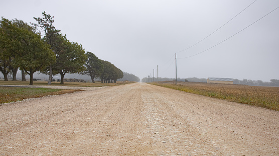 A gravel road through the countryside of rural Nebraska