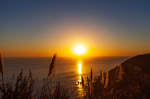 Feather reed grass silhouetted by a warm golden sunset over the ocean along the coast of California in summer