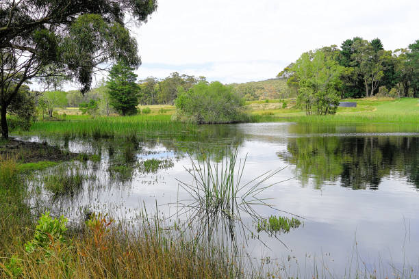 istock Lal Lal, Victoria, Australia 1495770716