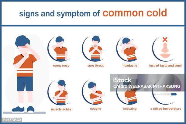 Coldn Common Cold Symptoms Stock Illustration - Download Image Now - Cold And ...