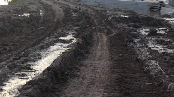 istock muddy road leading to the countryside 1495785824
