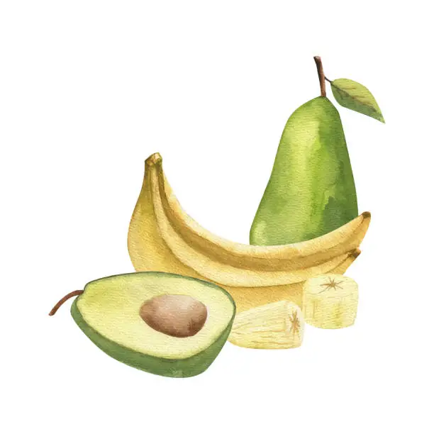 Vector illustration of A set of tropical fruits, pears, avocado, banana and its slices, highlighted on a white background. Watercolor