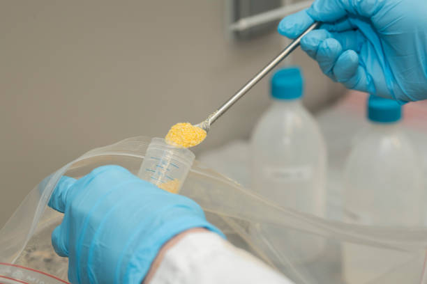 close-up das mãos com luvas de nitrilo azul segurando uma colher de metal, enchendo um tubo de ensaio de plástico com amostra moída. preparação de amostras para testes de ogm. ciência laboratorial. - nitril - fotografias e filmes do acervo